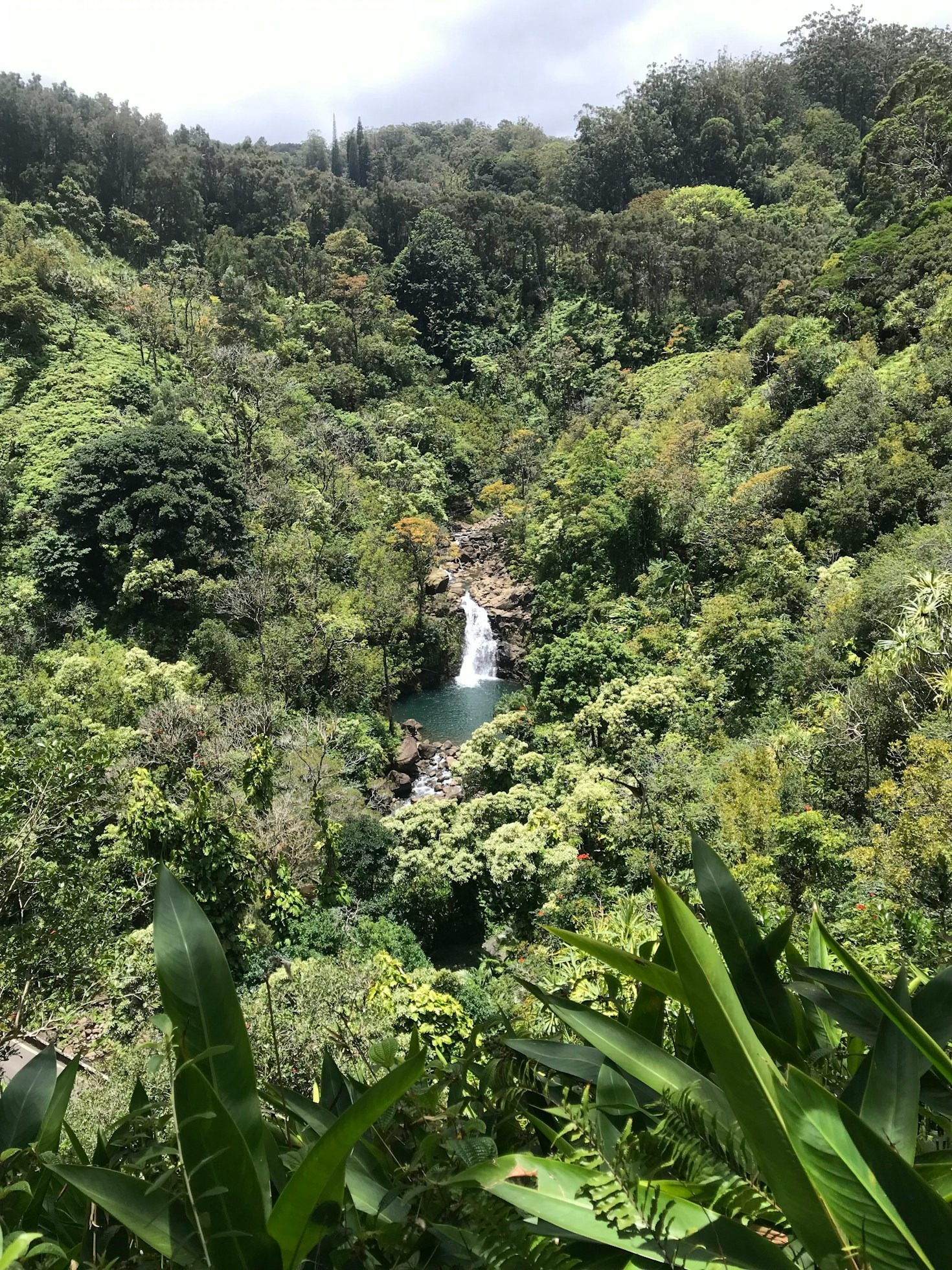 Wellness-Retreats Costa Rica: 10 Must-Visit Luxus-Spas